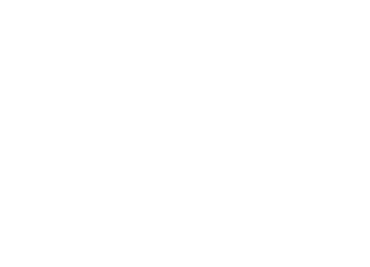 {{ t.brand }}